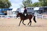 SBM_13293