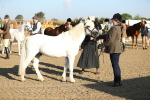 SBM_00015