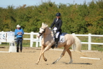 SBM_001555
