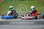 Karting_08-01-2012-28