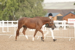 SBM_07748