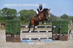 BPP_8442