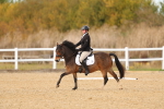 SBM_010552