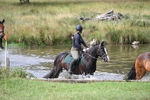 WJ7_1650