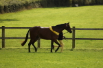 SBM_65644