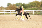 SBM_007205