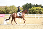 SBM_008854