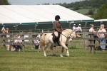 SBM_06880