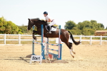 SBM_002869