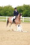 SBM_006423