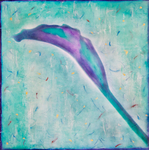 Calla
