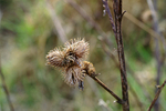 Pagham & Selsey - 40