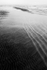LOW TIDE - LONG POINT BEACH