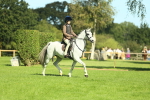 SBM_39192