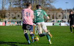 GFC v CHIPSTEAD 2023 portfolio