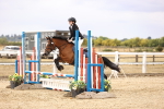 SBM_007378