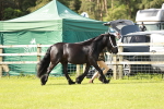 SBM_00810