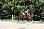 375-FINLEY_DU_LOIR-Oliver_Townend-WEDTrotUp+DR portfolio