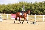 SBM_009437