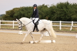 SBM_006460