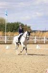 SBM_015181