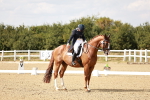 Class 10 - FEI Inter 1 Silver portfolio
