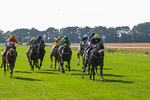 300824-Race 5-Shesashambles-6187