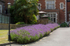 Graham Wiffen - Elmers Court - DSC_0029