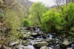 Watersmeet