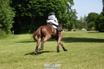 401-BLING-Laura_Collett-XC portfolio