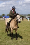 Class 38: NPS Novice Ridden Small and Large Breeds portfolio