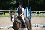 Showjumping Competition portfolio