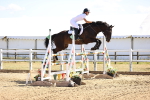 Class 16 - Senior foxhunter - 1.20m Open portfolio