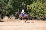 WJ6_7822