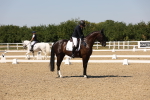 SBM_005705