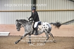 CLASS 8 Open Show Jumping - (0.90m) portfolio