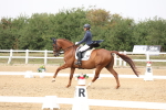 SBM_007520