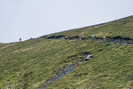 Bannerdale-281