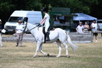 WJ7_3346