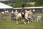 SBM_06881