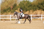 SBM_016570