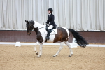 SBM_002994