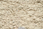 230721A-131044-06482