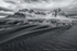 Sand Serpents - Monochrome
