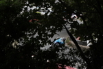 FOM_4062
