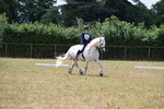 WJ6_3310