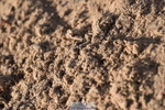 231015A-104252-07290