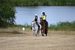 WJ6_9138