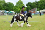 SBM_01314