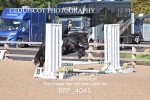 BPP_4045